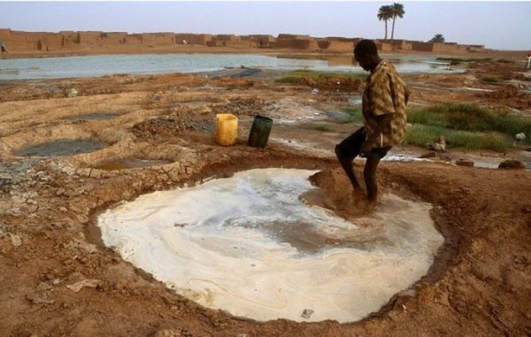 Добыча соли в пустыне Сахара (11 фото)