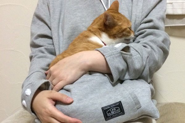 Толстовка с сумкой Mewgaroo для ношения кошек (12 фото)