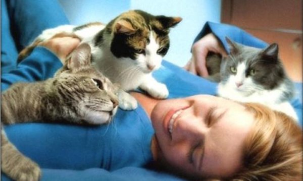 Как кошки проявляют свою любовь и дружбу по отношению к человеку
