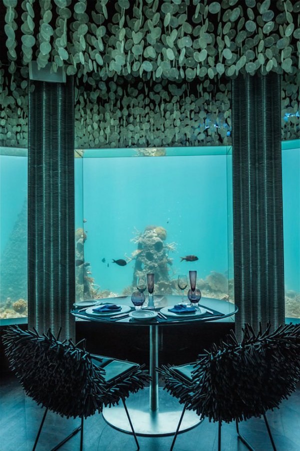 Подводный ресторан на Мальдивах (5 фото)