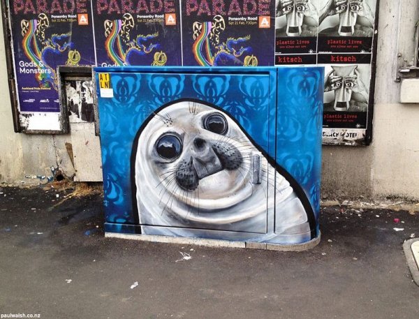 Рисунки популярных Интернет-мемов на улицах Окленда (16 фото)