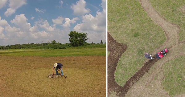 Картина Винсента Ван Гога "Оливковая роща" на поле площадью почти 5.000 м&#178; (8 фото + видео)