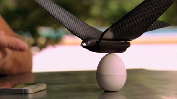 Бионическая птица Bionic Bird, управляемая смартфоном (10 фото + видео)