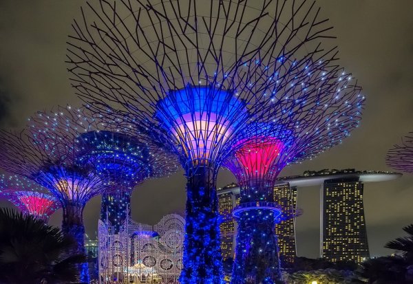 Сингапурские Сады у залива в рождественские праздники (20 фото)