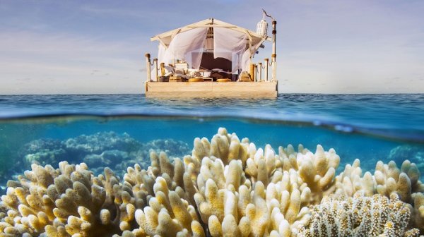 Туристам предлагают бесплатно провести ночь в плавучем доме с видом на рифы