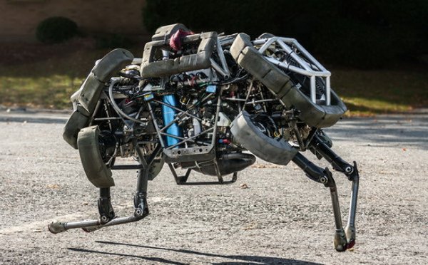 Компания Boston Dynamics создала милую собаку-робота
