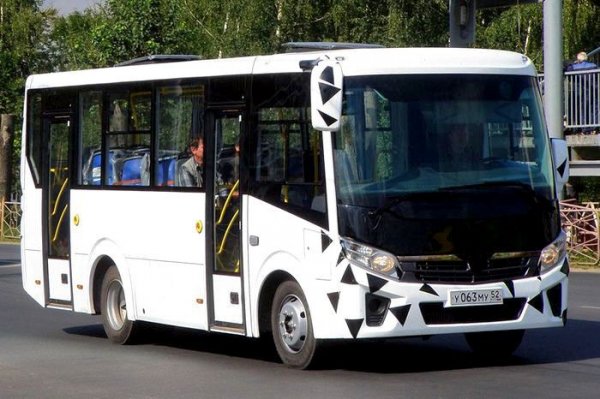 В Ленинградском регионе появились новые автобусы