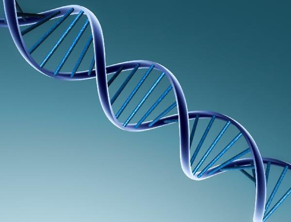 Ученые преуспели в извлечении ДНК вымерших животных