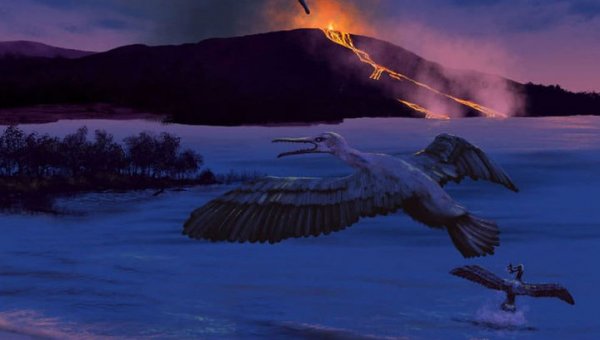 Учёные: В Арктике 90 млн лет назад жила зубастая птица
