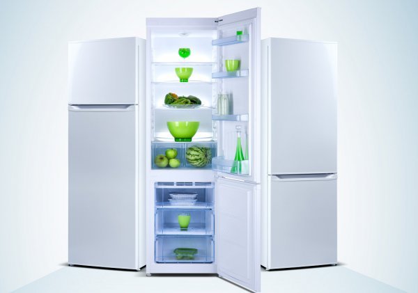 В России создадут уникальный холодильник