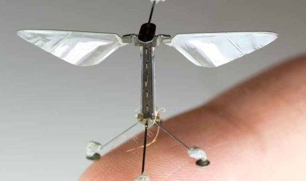 В Японии создали роботов-пчёл