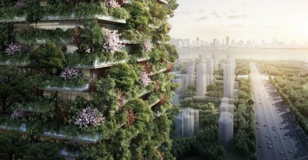 В Китае будут строить зелёные небоскрёбы
