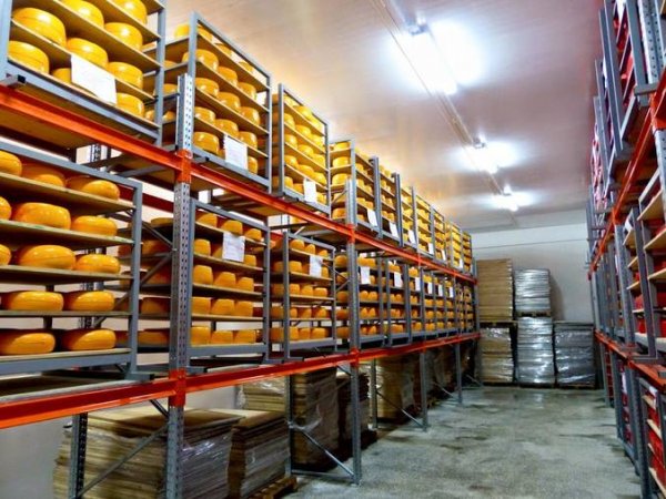 В Новосибирском регионе появится уникальный завод сыров