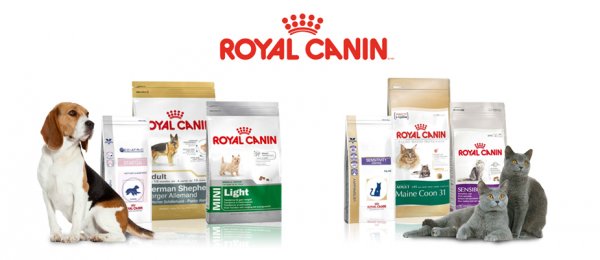 Royal Canin – замечательный корм для взрослых кошек и котят