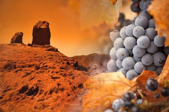 Грузия хочет выращивать на Марсе виноград