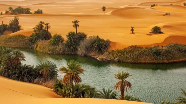 В Сахаре хотят создать искусственные водоёмы