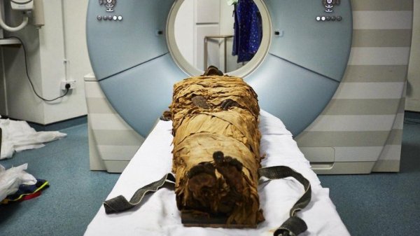 Учёным удалось услышать голос древней мумии